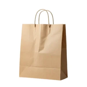 Carry Bags